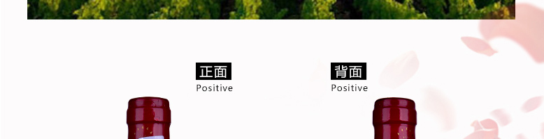 國(guó)拉菲羅斯柴爾德珍釀梅多克法定產(chǎn)區(qū)葡萄酒750ml